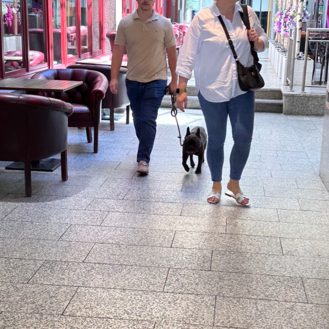 Hundetraining Stuttgart Leinenf&uuml;hrung f&uuml;r entspanntes Verhalten an der Leine