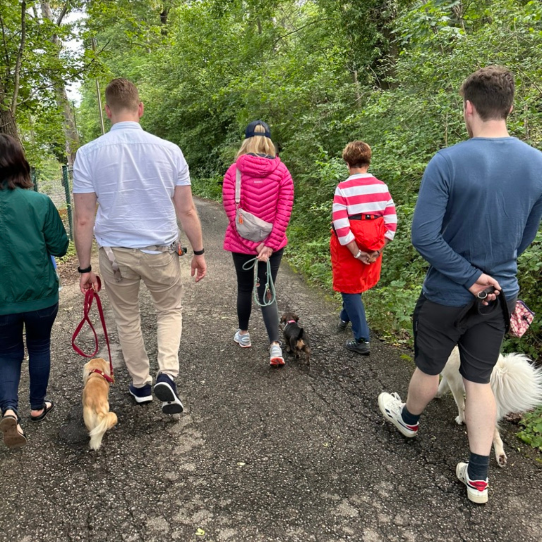 Hundetraining Stuttgart Social Walk f&uuml;r gelassene Begegnungen und mehr Sicherheit im Alltag
