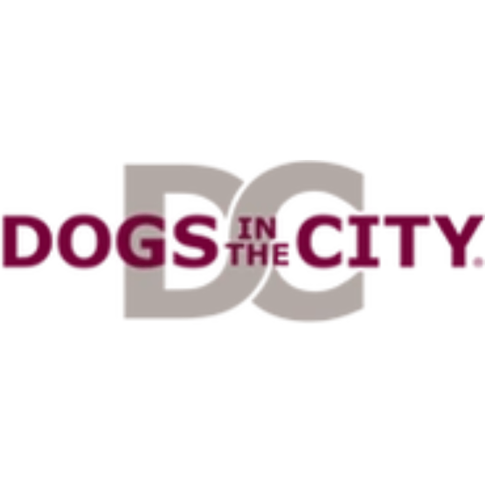 Dogs in the City Hundebetten Empfehlung