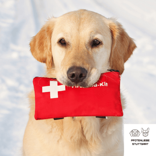 Erste Hilfe Hund Hund mir Erste Hilfe Tasche im Maul Stuttgart Hundeschule