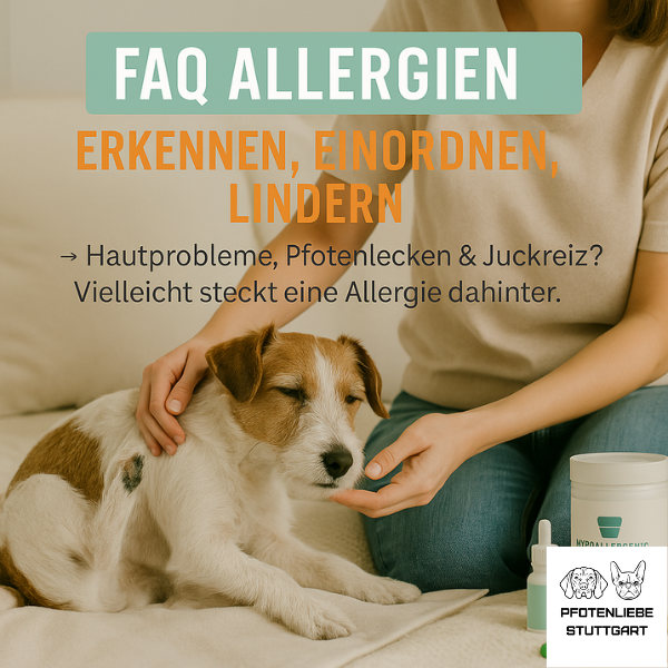 FAQ Allergie Hund Stuttgart HUndechule