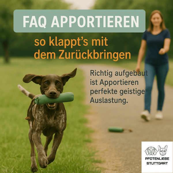 Keine Flöhe FAQ Stuttgart HUndechule