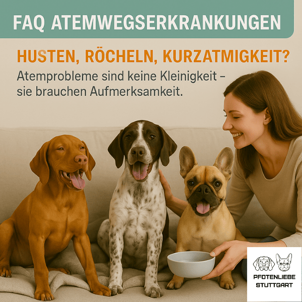 FAQ Atemwegserkrankungen Stuttgart Hundeschule