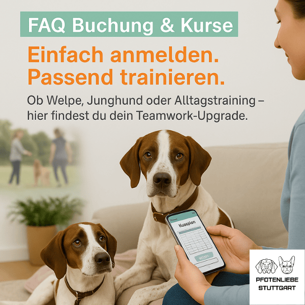 Keine Flöhe FAQ Stuttgart HUndechule
