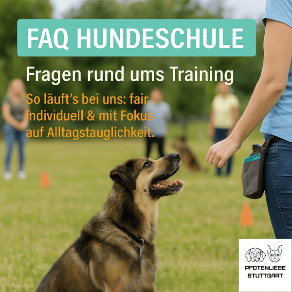 FAQ Hundechule Stuttgart Hundeschule