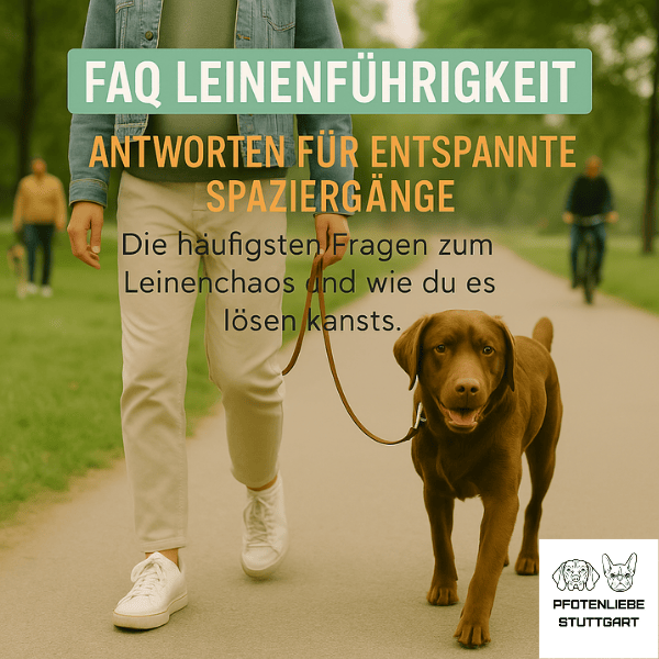 Keine Flöhe FAQ Stuttgart HUndechule