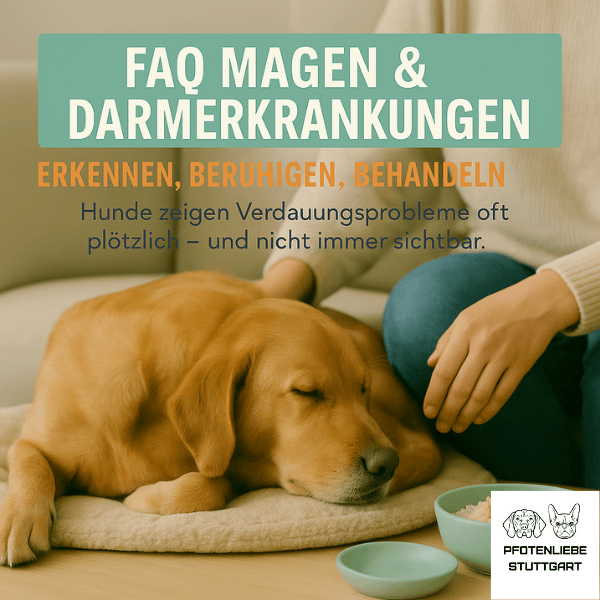 FAQ Magen Darm Erkrankungen Stuttgart Hundeschule