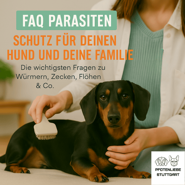 FAQ Parasitenschutz Stuttgart Hundechule