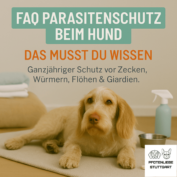 FAQ Parasitenschutz Stuttgart Hundeschule