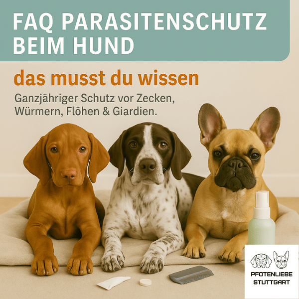 FAQ Parasitenschutz Stuttgart Hundeschule