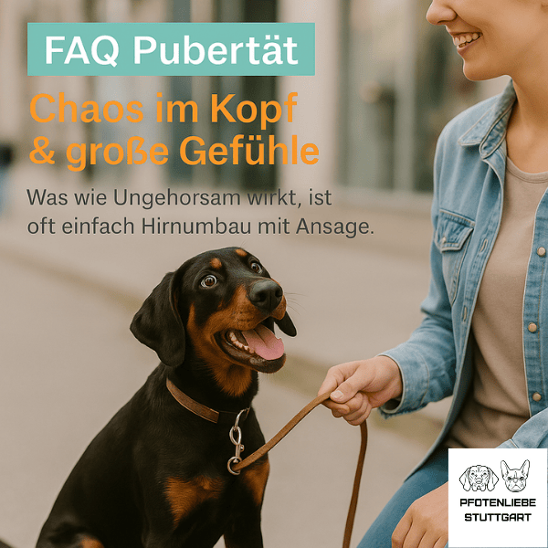 FAQ Pubertät Stuttgart HUndechule