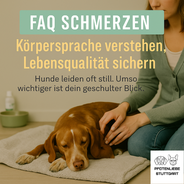 FAQ Schmerzen Stuttgart Hundechule