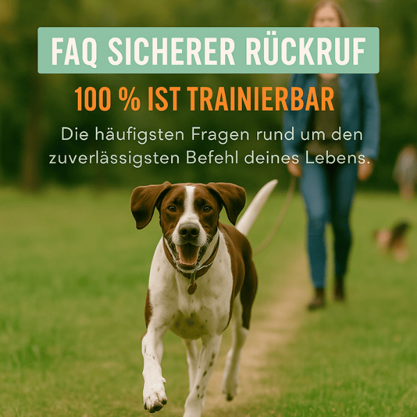 FAQ Sicherer Rückruf Stuttgart Hundeschule