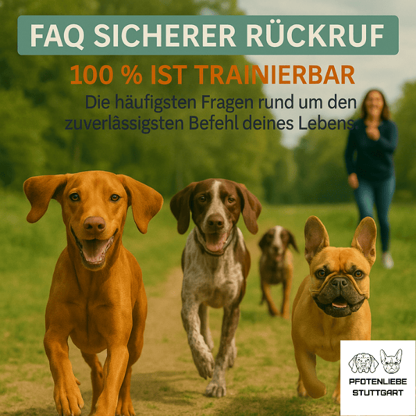 Keine Flöhe FAQ Stuttgart HUndechule