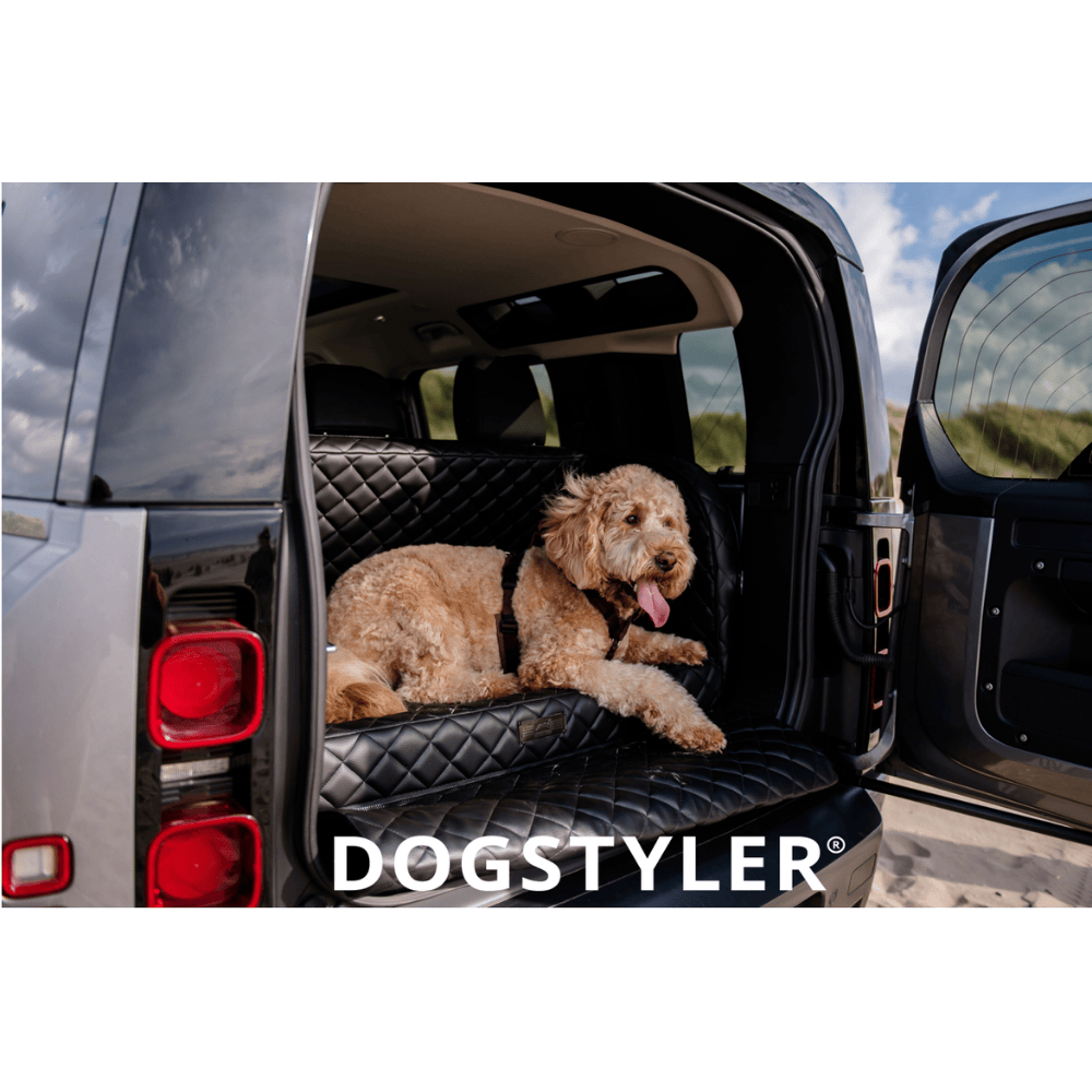 Dogstyler Autotransport Hund Stuttgart Empfehlung
