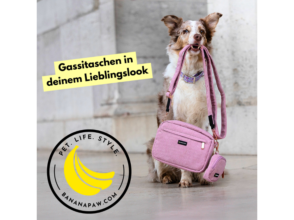 Kooperation Bananapaw Stuttgart Hundeschule