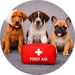 Kundenstimmen 17 Pfotenliebe Stuttgart Hundeschule