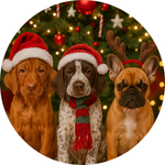 Kundenstimmen 10 Pfotenliebe Stuttgart Hundeschule