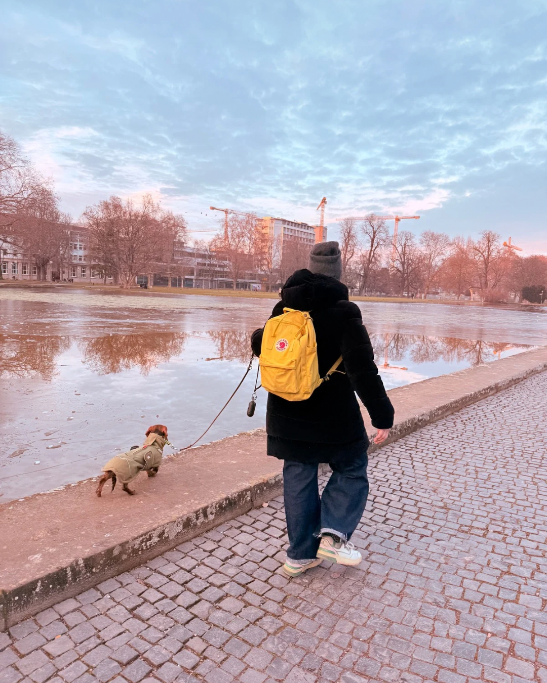 Leinenf&uuml;hrung Hund Stuttgart f&uuml;r entspanntes Gehen ohne Ziehen im Alltag