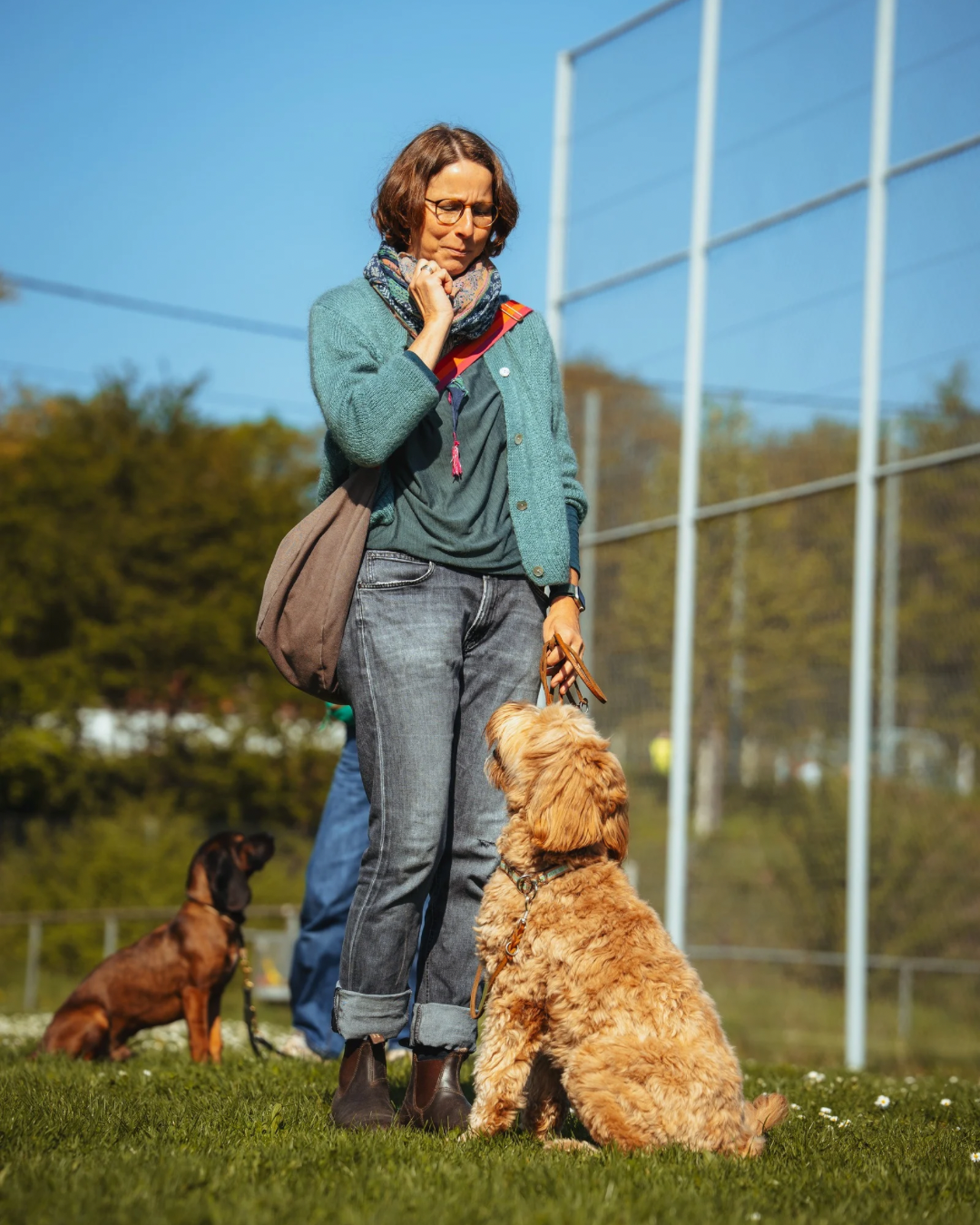 Junghundkurs Stuttgart &ndash; Hundetraining f&uuml;r junge Hunde in der Pubert&auml;t