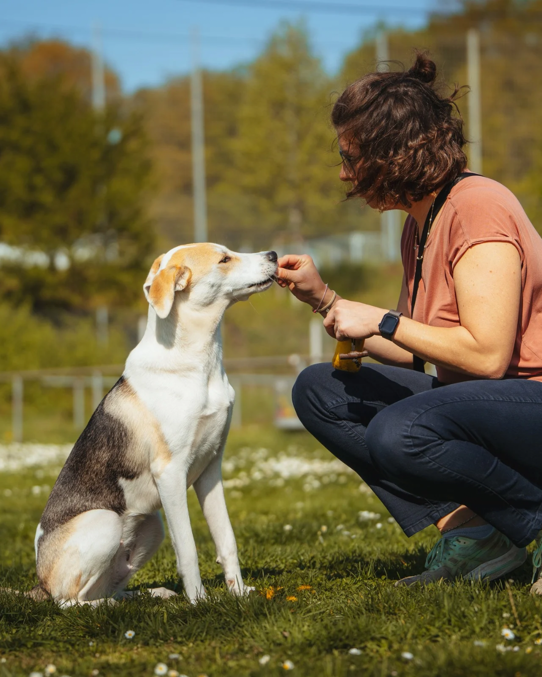 Mensch und Junghund trainieren gemeinsam im Hundekurs in Stuttgart