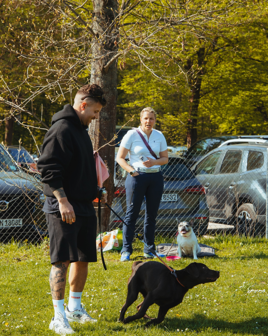 Einzeltraining Hund Stuttgart f&uuml;r individuelles Hundetraining und gezielte Probleml&ouml;sung im Alltag