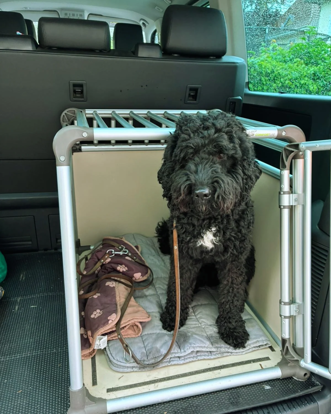 Kofferraumtraining Hund Stuttgart f&uuml;r sicheres Ein- und Aussteigen und entspanntes Autofahren im Alltag