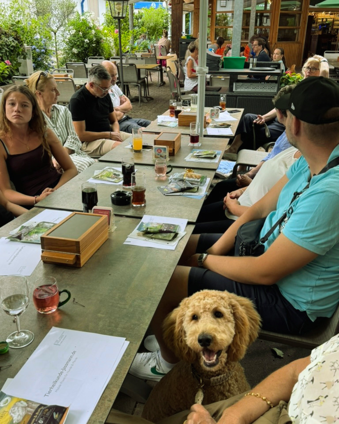 Pfotenliebe Sommertreff Stuttgart &ndash; Hundehalter genie&szlig;en gemeinsam einen entspannten Sommerabend