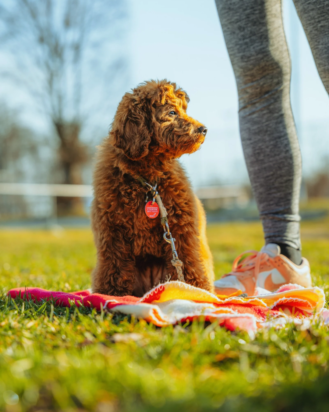 Hundetraining nach der Fichtlmeier Methode Stuttgart f&uuml;r ruhige Kommunikation, Vertrauen und nat&uuml;rliche F&uuml;hrung
