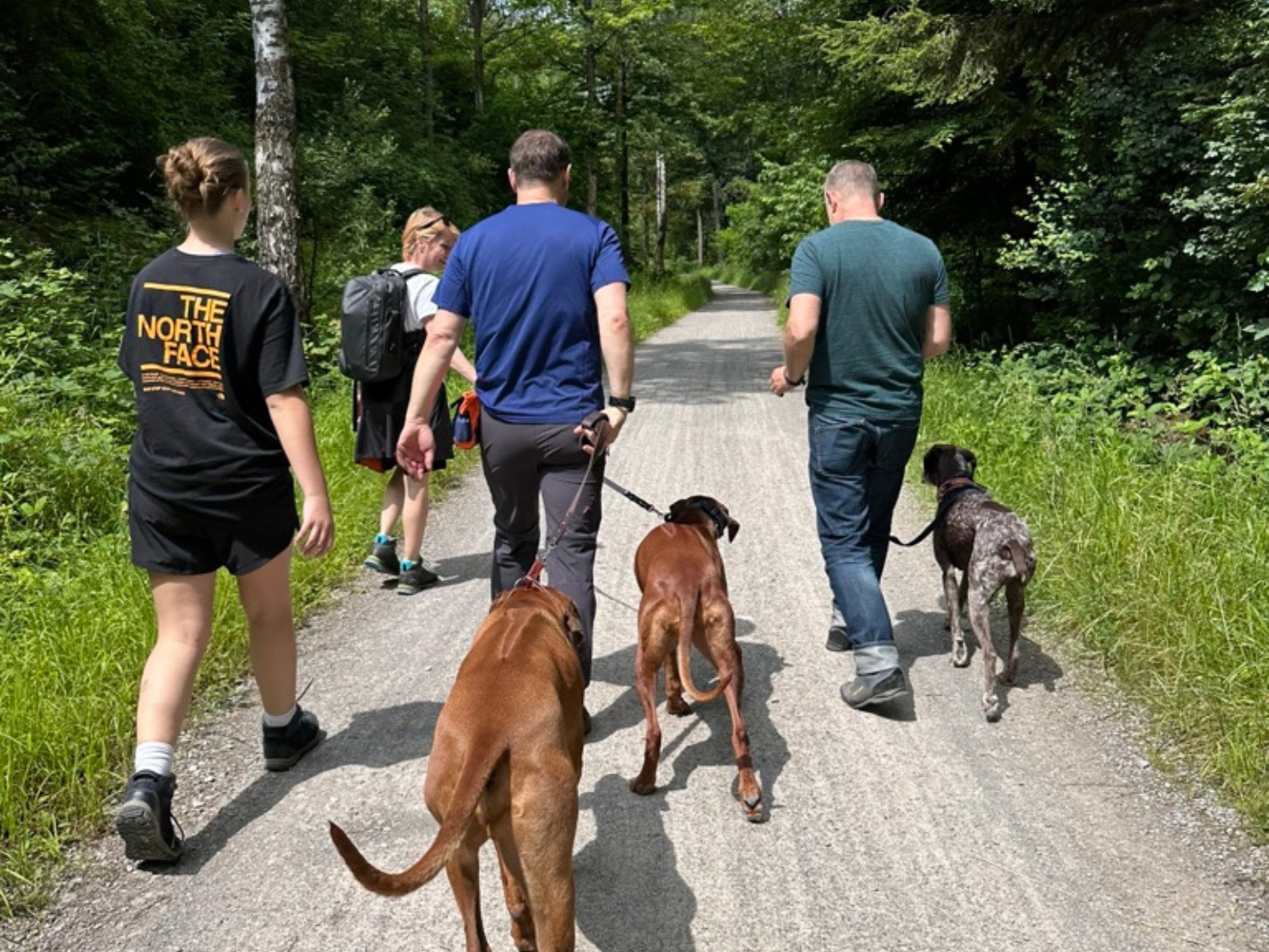 Social Walk Hund Stuttgart f&uuml;r entspannte Begegnungen, ruhiges Verhalten und mehr Sicherheit im Alltag mit anderen Hunden