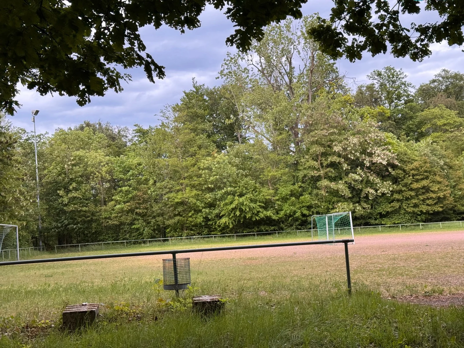 Hundeschule und Training am Waldheim Raichberg in Stuttgart
