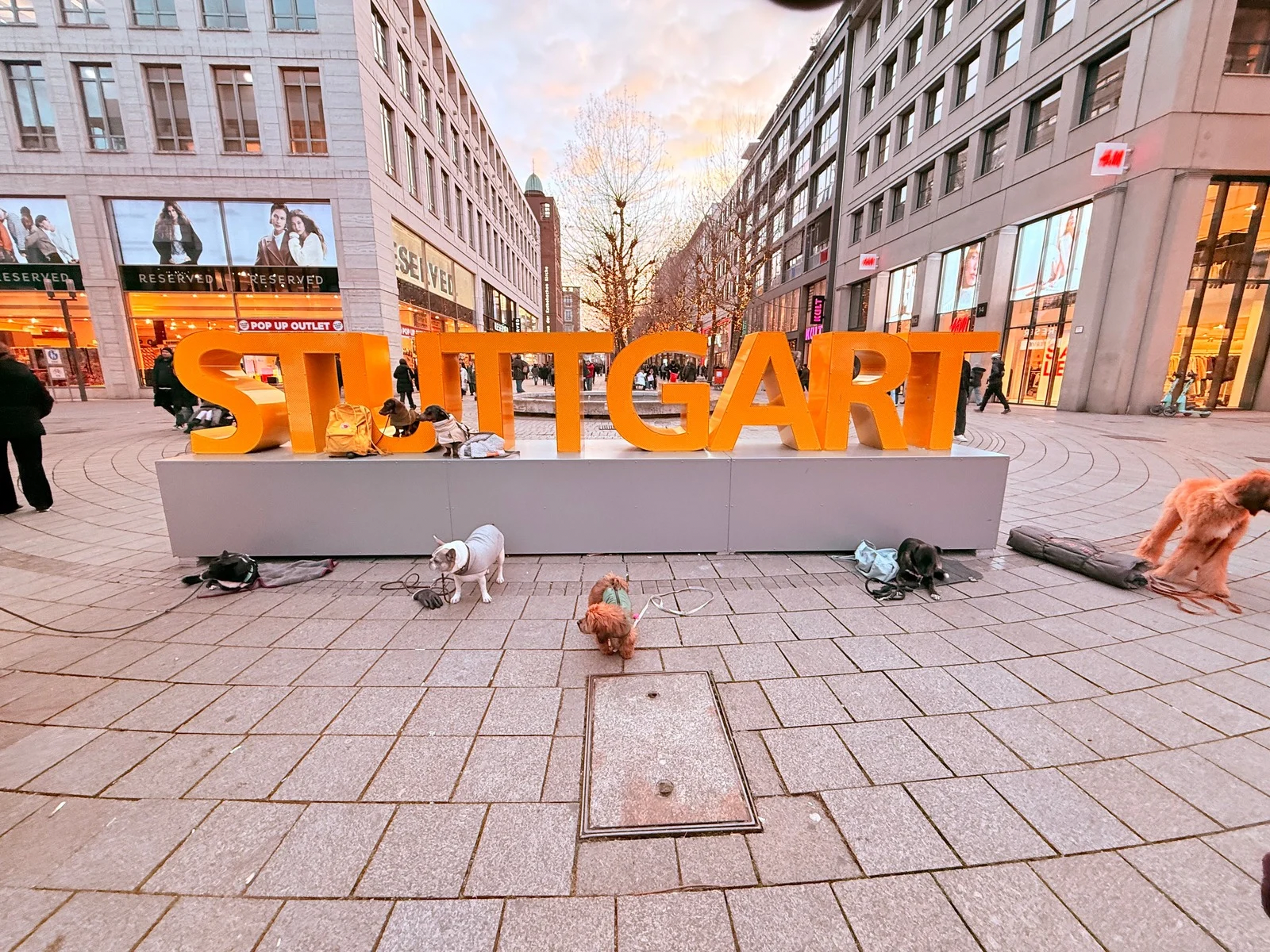 Stadttraining Hund in Stuttgart f&uuml;r entspanntes Verhalten im urbanen Alltag