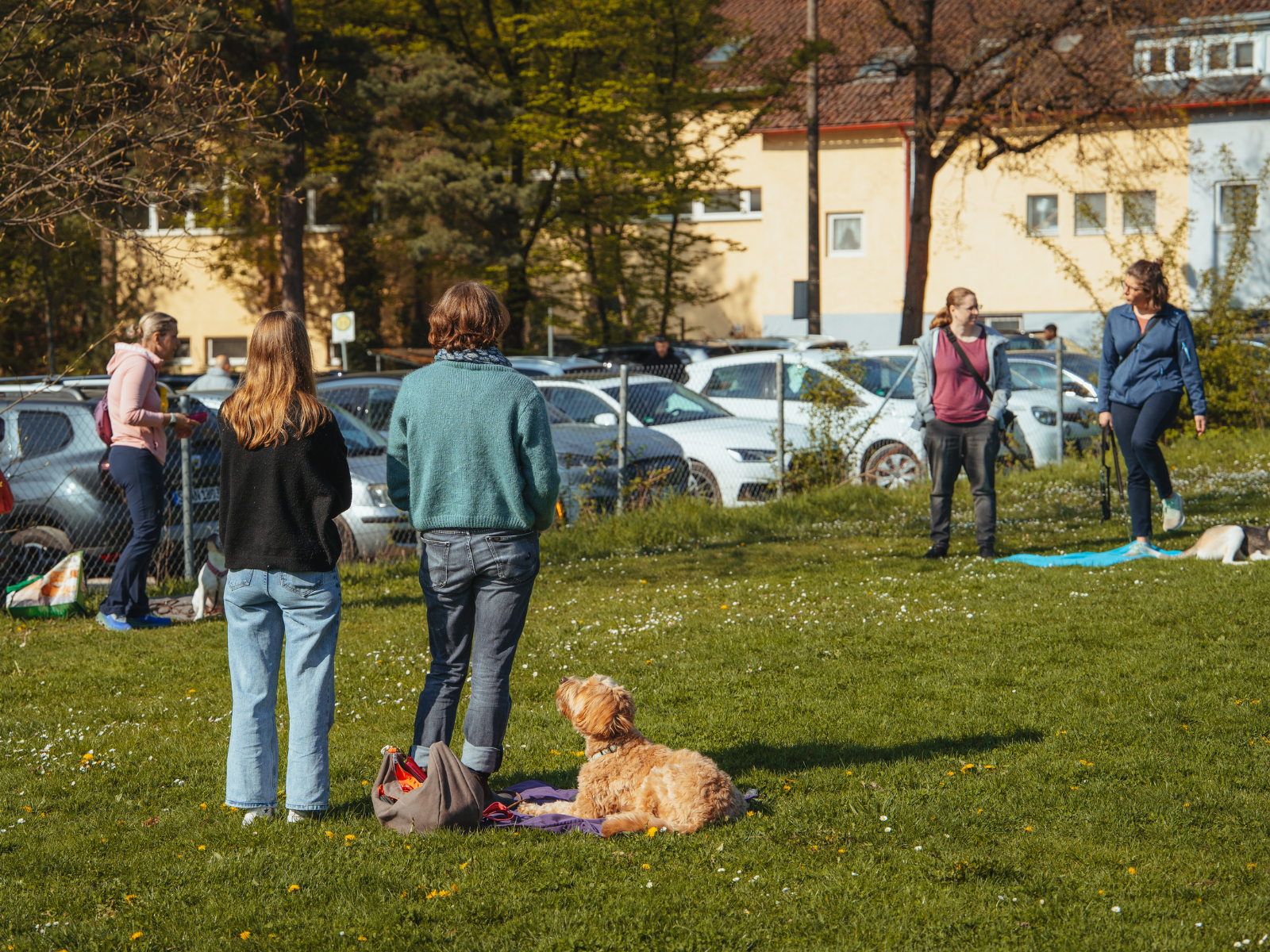 Fichtlmeier Methode Stuttgart Workshop f&uuml;r ruhige Kommunikation, Vertrauen und bindungsorientiertes Hundetraining