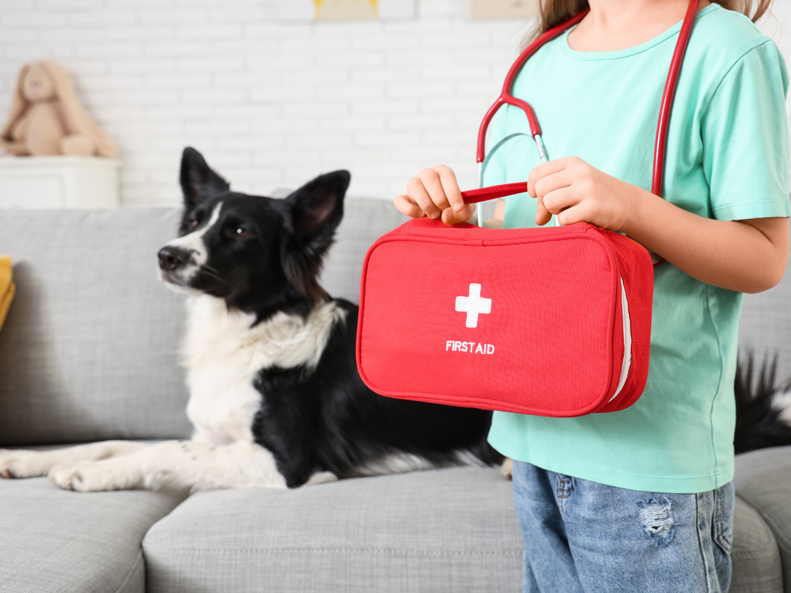 Erste Hilfe Hund Stuttgart Workshop f&uuml;r Notf&auml;lle, schnelle Versorgung und sicheres Handeln im Ernstfall
