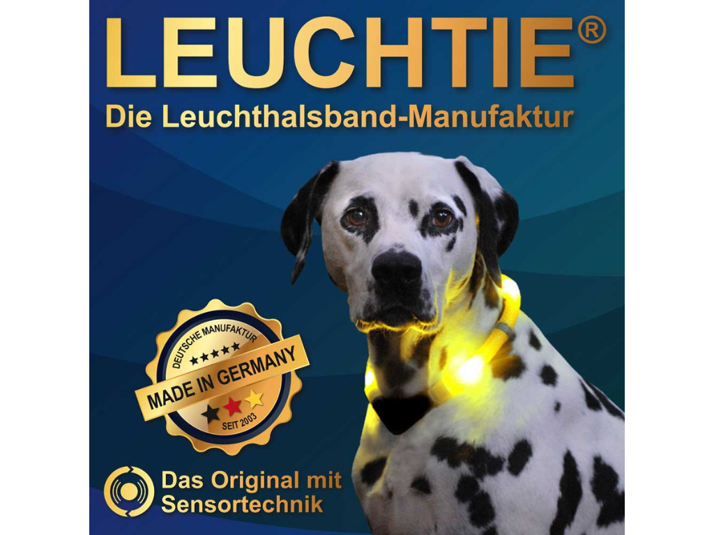 Kooperation William Walker Stuttgart Hundeschule