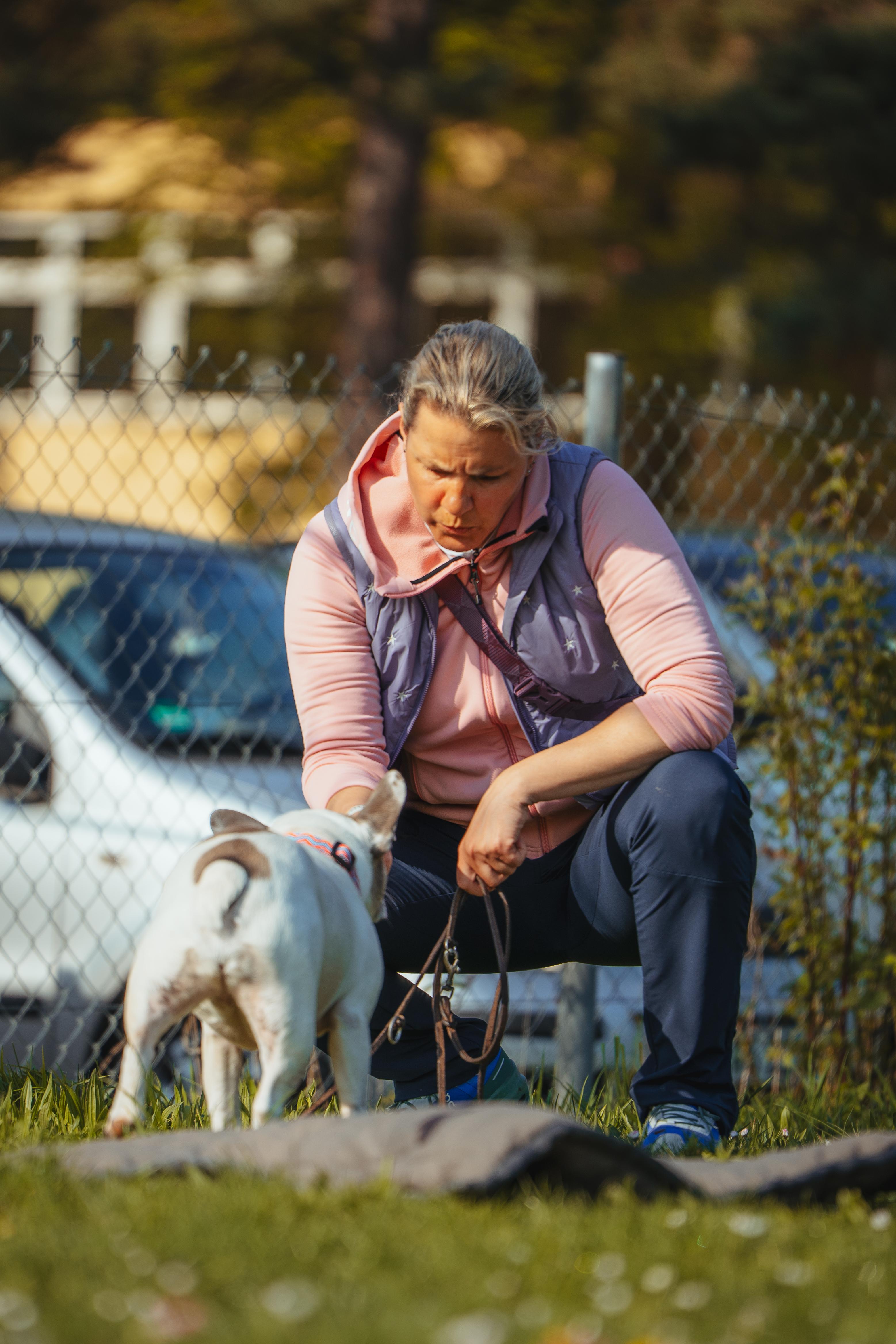 Anfrageformular Hundetraining Stuttgart f&uuml;r Kurse, Einzeltraining und Welpenberatung