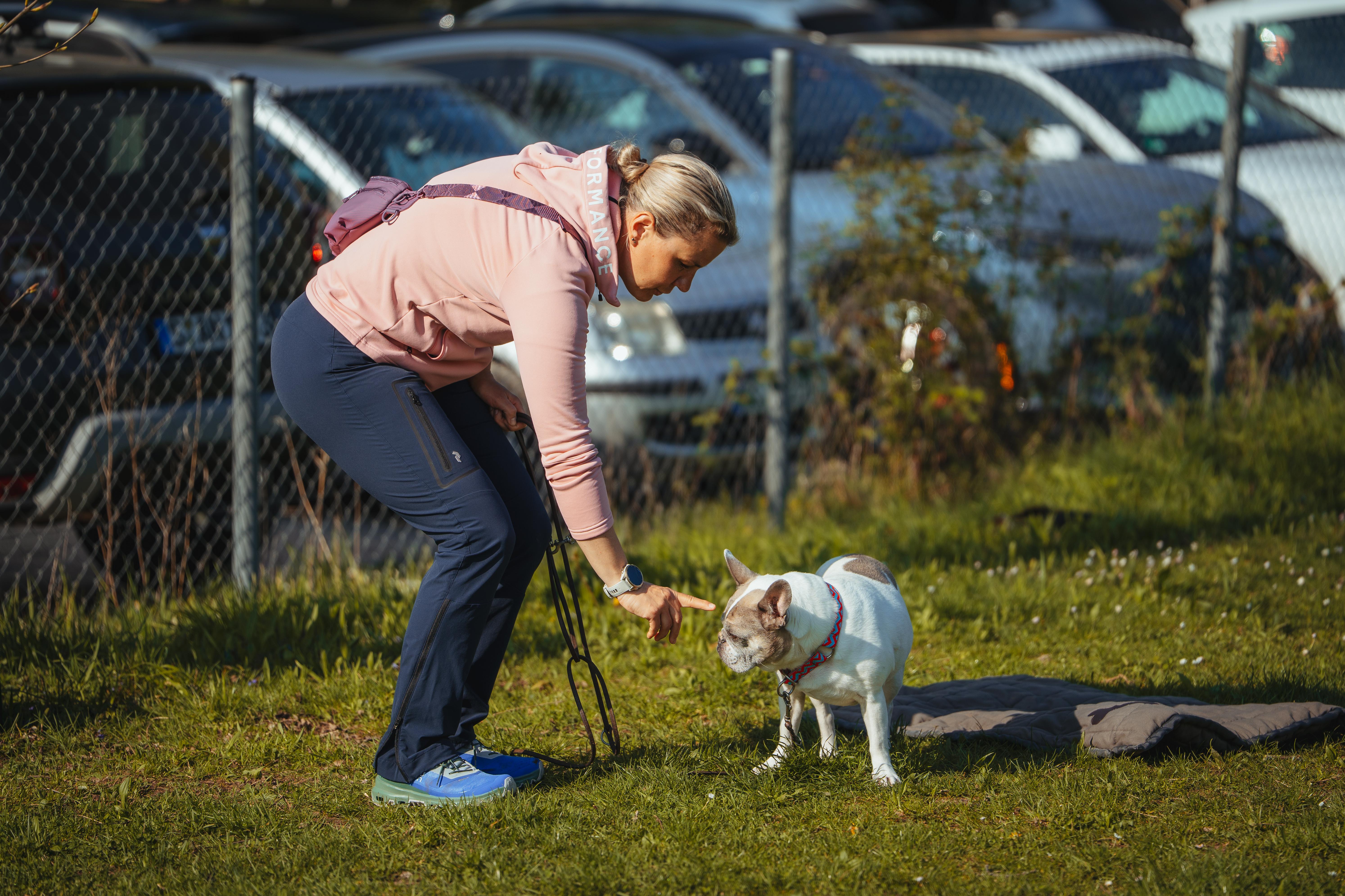 Kundenstimmen und Erfahrungen zur Hundeschule Pfotenliebe Stuttgart