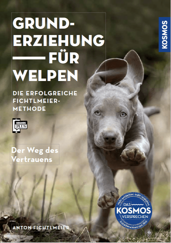 Fichtlmeiers Hundeschule Grunderziehung f&uuml;r Welpen Stuttgart Hundeschule