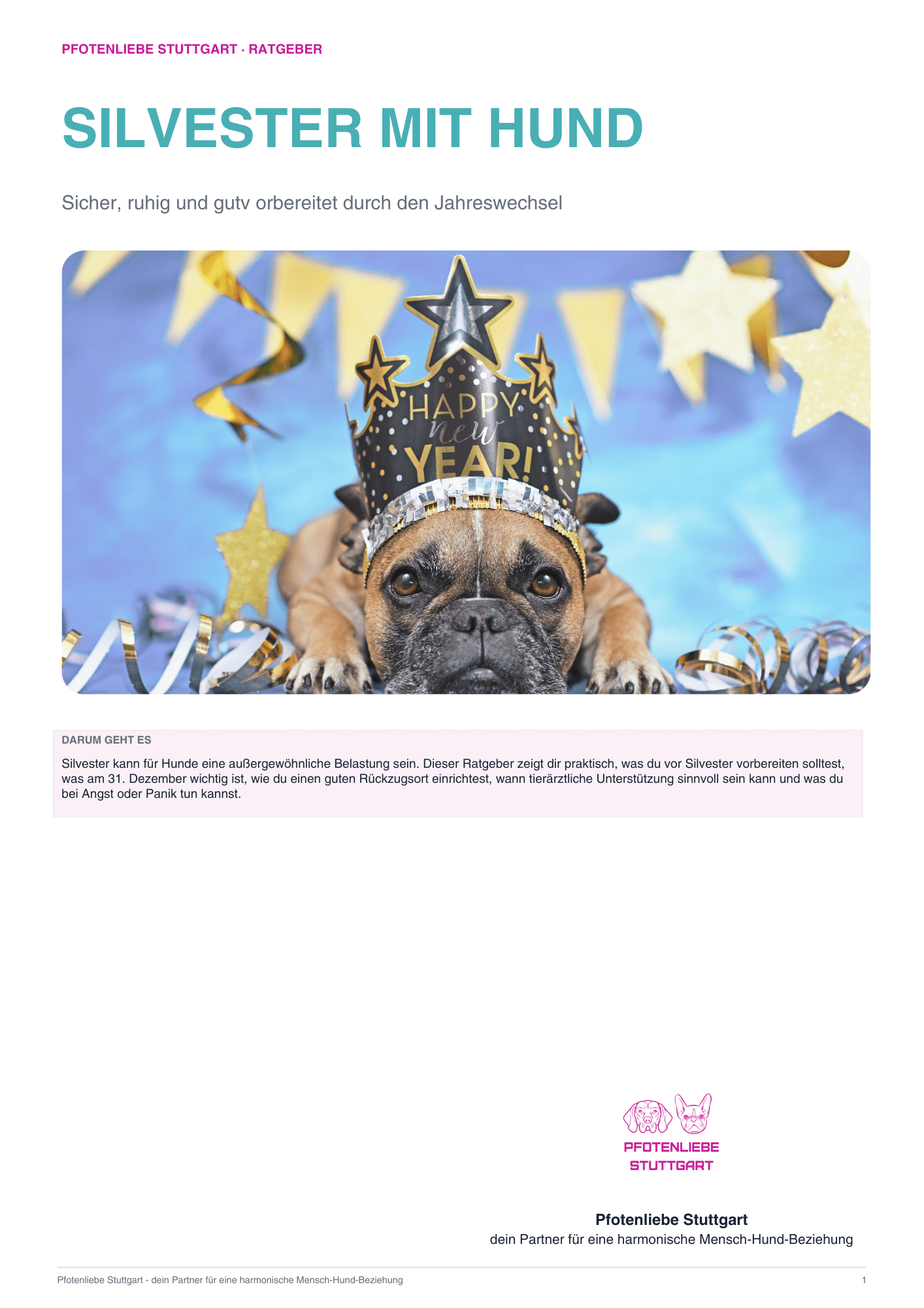 Silvester mit Hund &ndash; Praxis-Ratgeber von Pfotenliebe Stuttgart