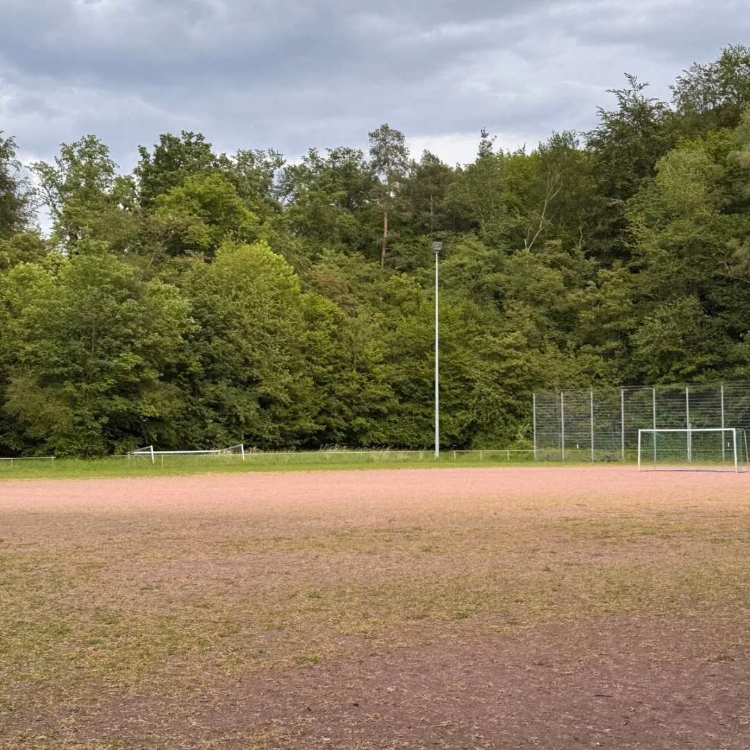 Hundetraining am Waldheim Raichberg in Stuttgart