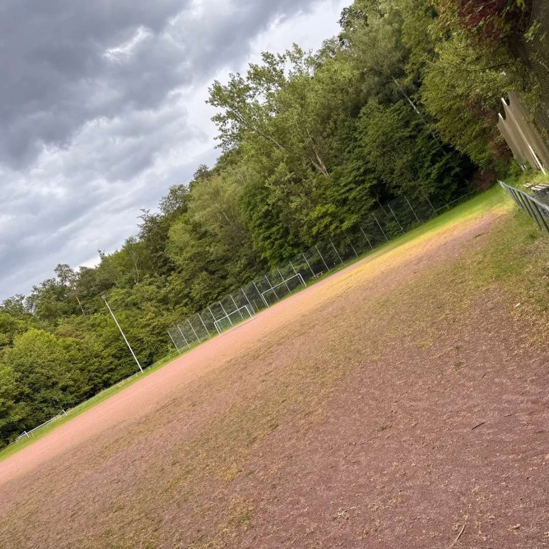 Trainingsgel&auml;nde Waldheim Raichberg f&uuml;r Hundekurse in Stuttgart
