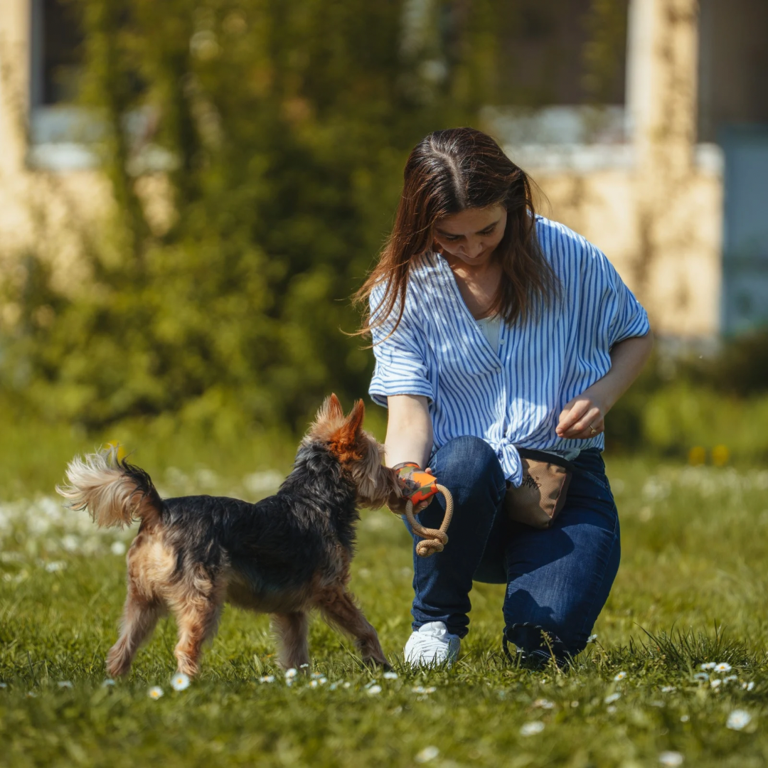 Apportieren st&auml;rkt Bindung zwischen Mensch und Hund in Stuttgart