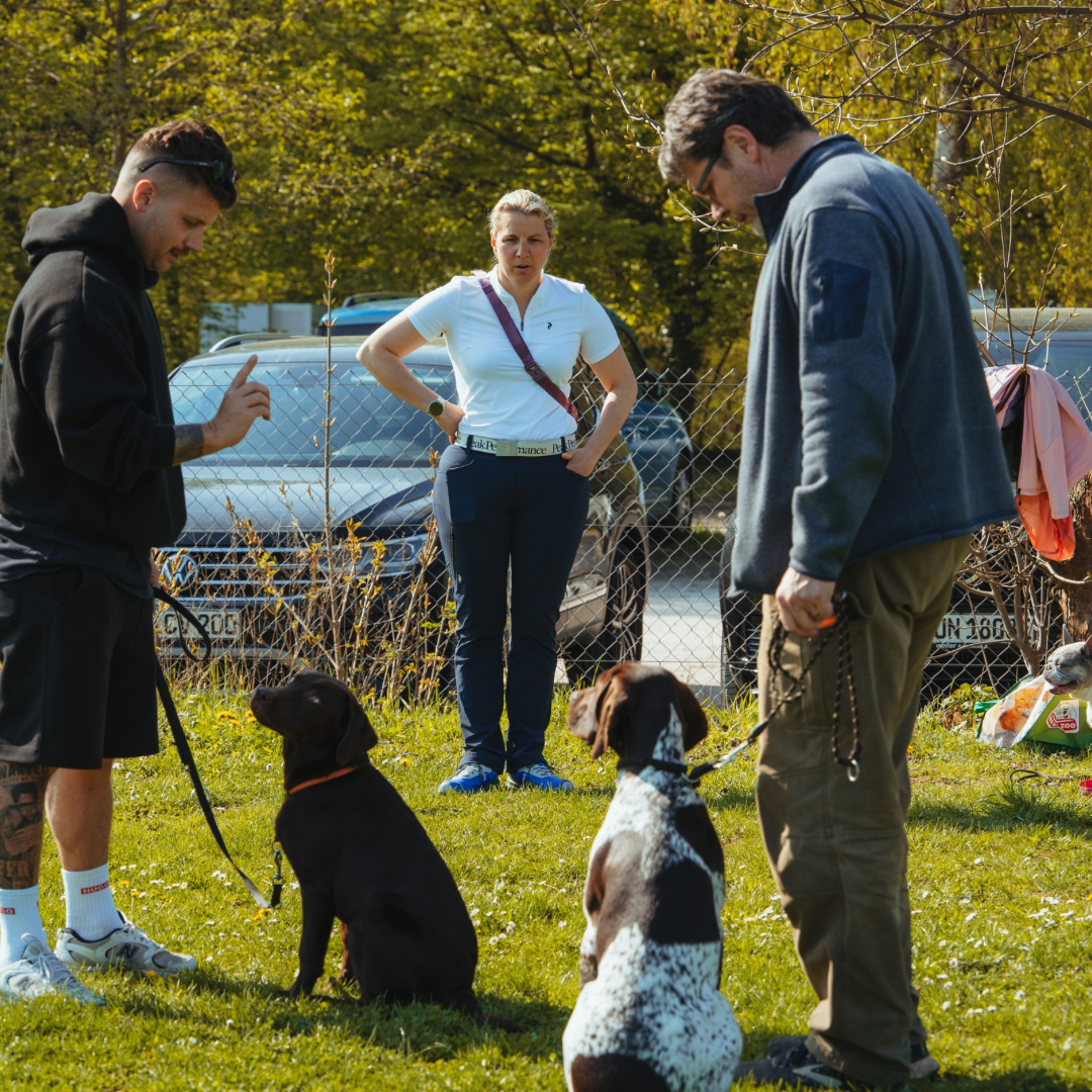 Alltagsnahes Hundetraining mit Isabel Scheu