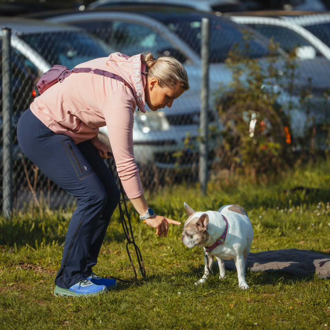 Isabel erkl&auml;rt ruhiges Hundetraining in Stuttgart