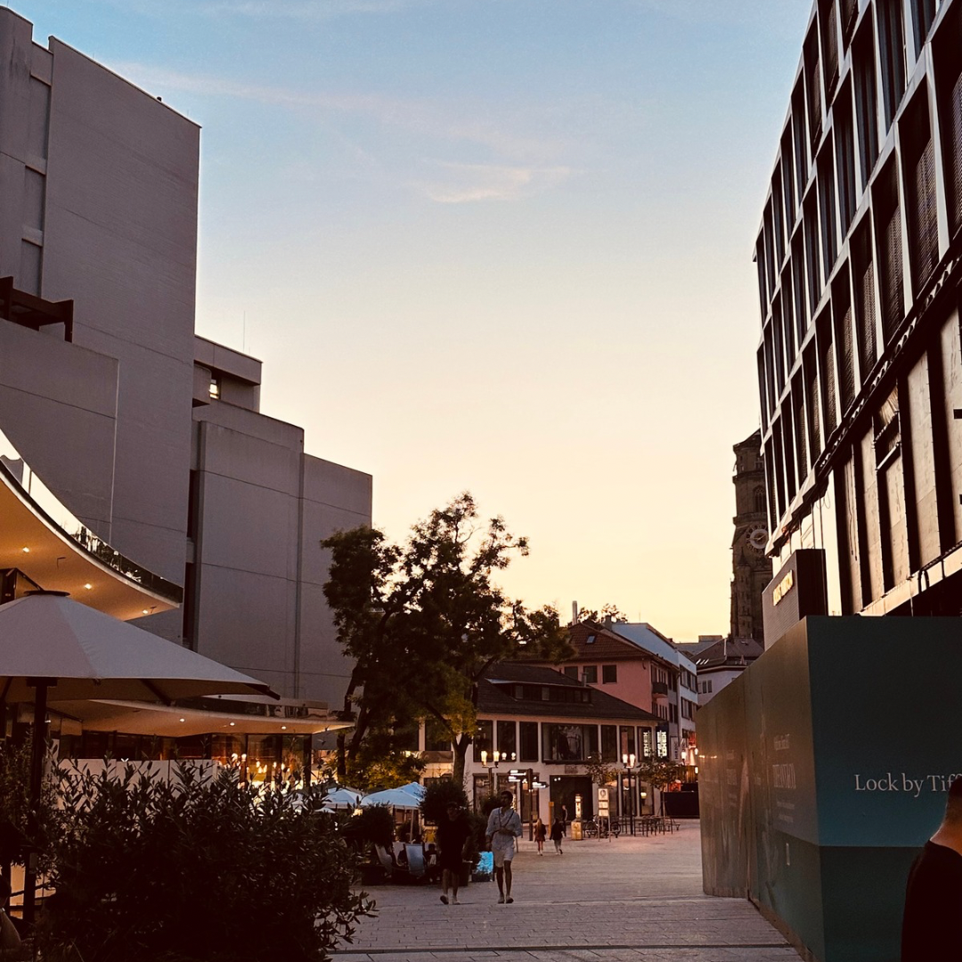 Leinenf&uuml;hrung und Alltagstraining in Stuttgart