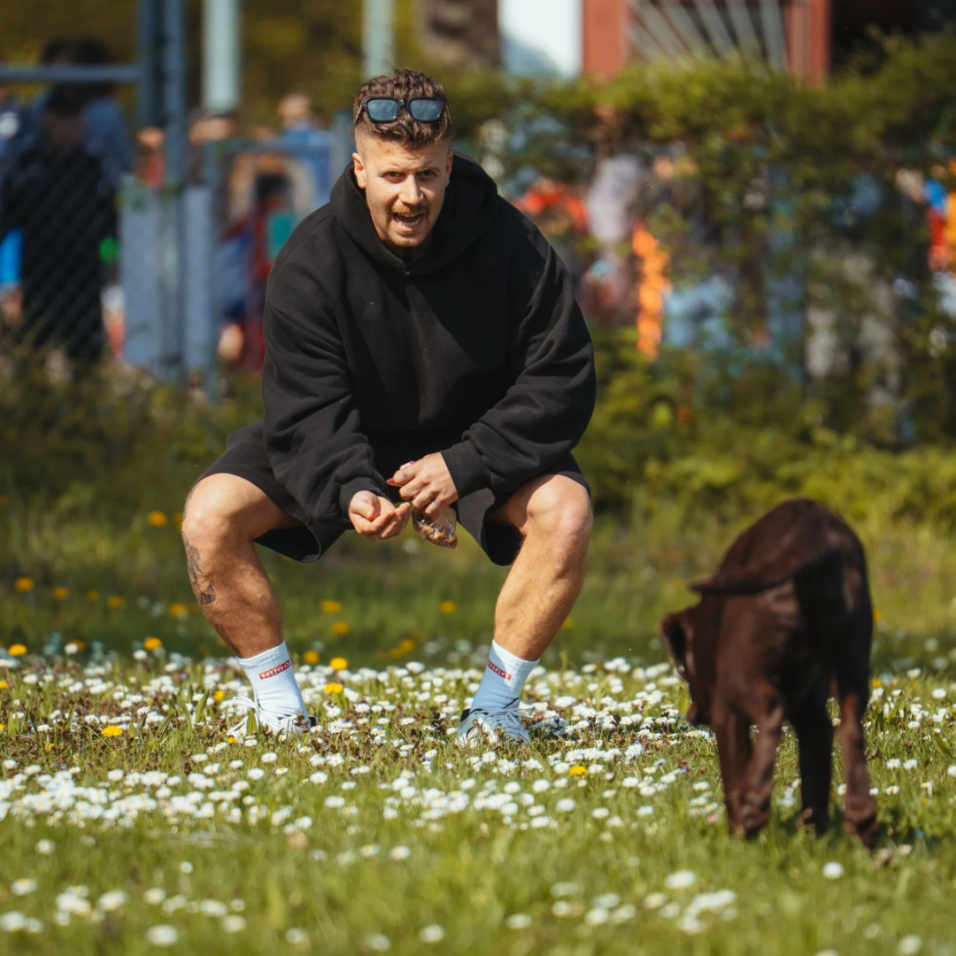 Sicherer R&uuml;ckruf beim Hund im Hundetraining Stuttgart im Freilauf