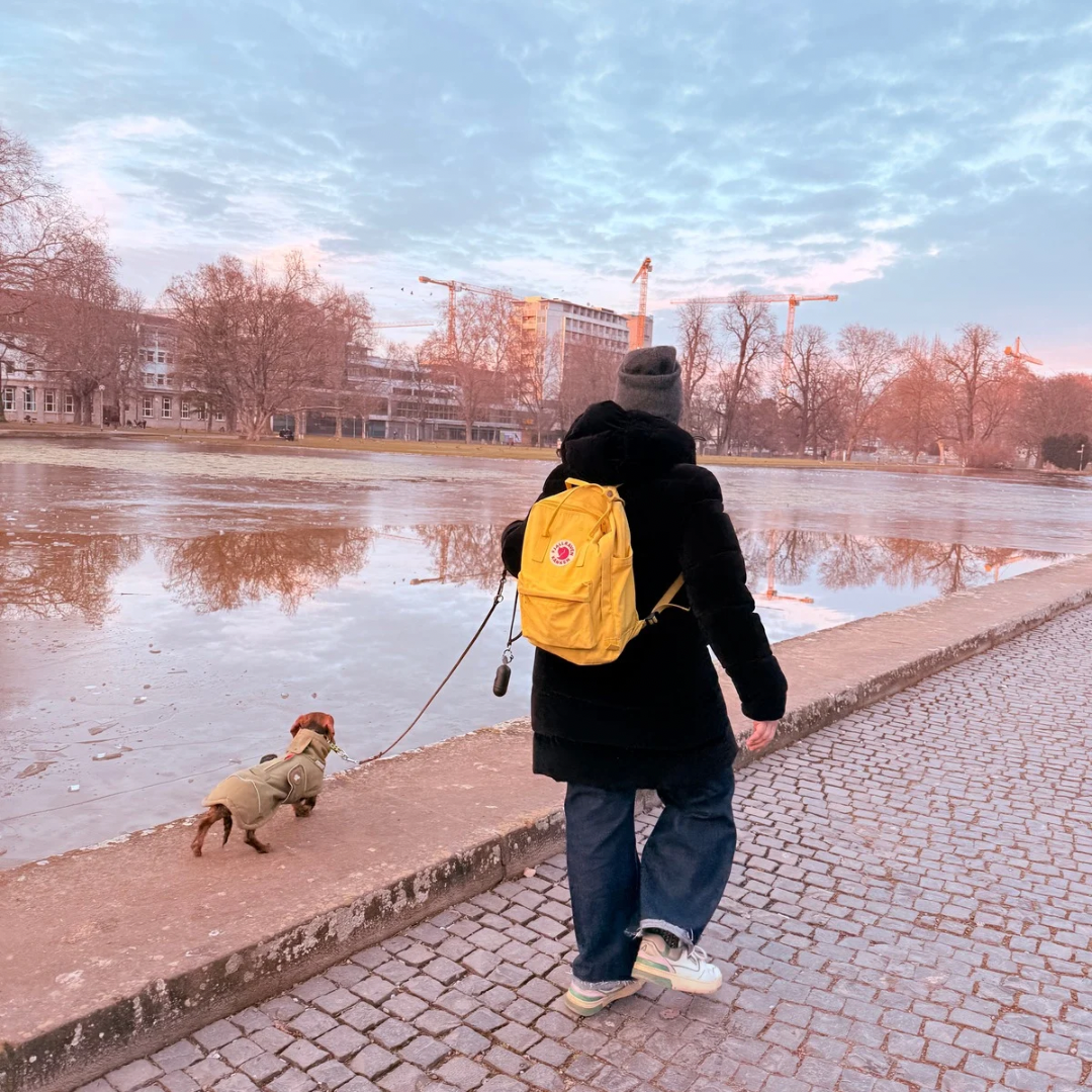 Leinenf&uuml;hrung Hund Stuttgart Video f&uuml;r entspanntes Gehen ohne Ziehen im Hundetraining